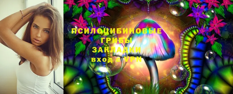 цены   Кяхта  mega вход  Псилоцибиновые грибы MAGIC MUSHROOMS 